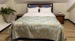 Jinjiang Metropolo Hotel - Shanghai Jinshanzhui Fishing Village - 3