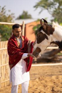 The Bagheera Retreat - 2