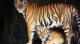 Smile Resort Sriracha - 3