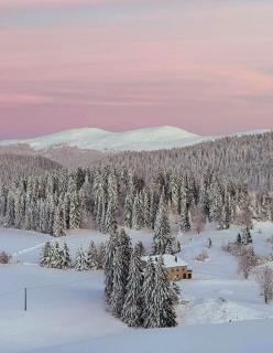 La Petite Maison - 8