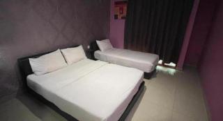 Parc Hotel Pelangi Damansara - 3