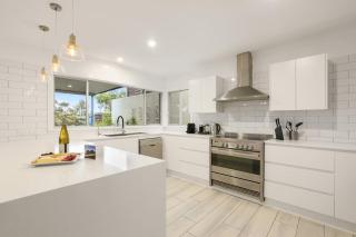 Osprey at Nelson Bay - 1