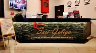 Hotel Seri Geliga - 8