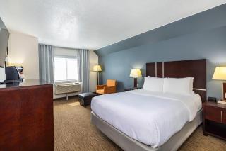 Comfort Inn & Suites - Yorkton - 7