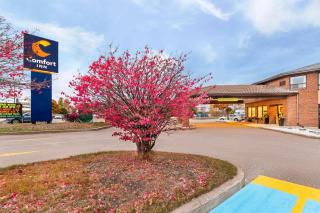 Comfort Inn Pembroke Riverside - 0