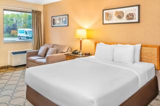 Comfort Inn - 4