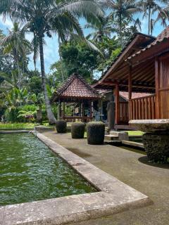 tarotours accommodation - Penginyahan - 7