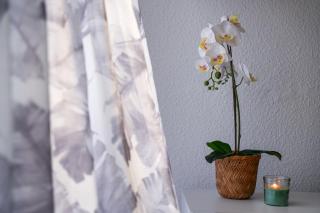 Caroline's tropical paradise - 2