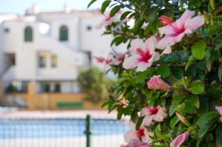 Caroline's tropical paradise - 5