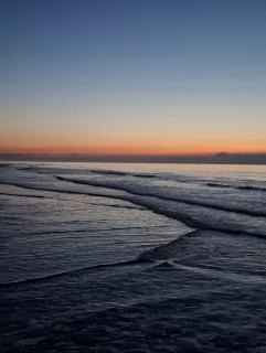 ZILT 15 by BLOSS - 6