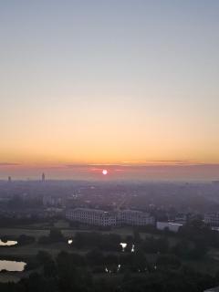 ZILT 15 by BLOSS - 2