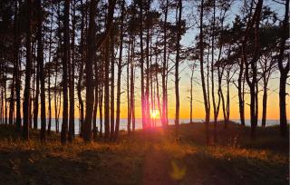 Pet Friendly Home In Osieki With Wifi - Osieki - 2