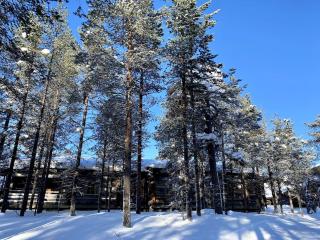Saariselkä Log Villa - 2