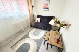 Spacious quiet apartment near Strasbourg - 9