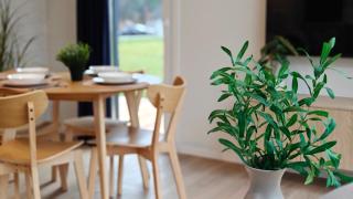 Ferienhäuser Dettenhöfer - Tor zur Fränkischen Schweiz - 8