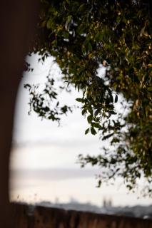 Luxury Cave Spa Apartment by the Sea Senglea - Senglea - 5