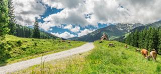 Apartment Josephine - 2