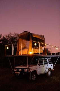 Zambezi Dream Cruiser - 4