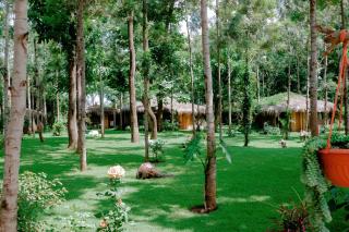 Mtoni River Lodge - 1