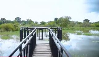 Kataragama leopard One Villa Yala - 5