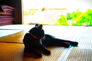 Minamikoma-gun - House - Vacation STAY 19040 - 1