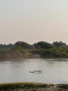 Zambezi Dream Cruiser - 4
