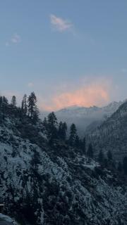 Gauri garden cafe & homestay - 3