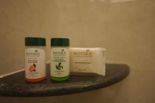 Shri Ram Paying Guest House - 4