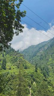 Gauri garden cafe & homestay - 8