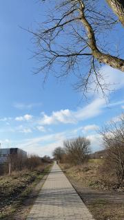 Home Away From Home - 6