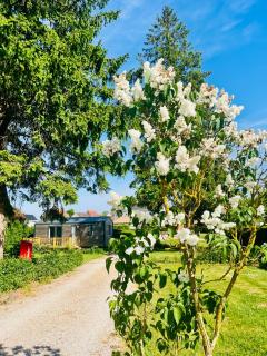 Domaine Le Vert Manoir - 7