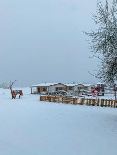 Rezort Zvernica Vlachy - Family & Fun - Vlachy - 8