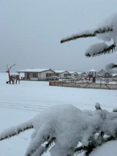 Rezort Zvernica Vlachy - Family & Fun - 4