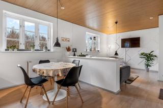 Naturskønt nær Ribe Vikingecenter, se og oplev den gamle by Ribe - 9