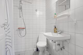 Naturskønt nær Ribe Vikingecenter, se og oplev den gamle by Ribe - 2