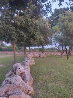 Agriturismo Supramurgia - 8