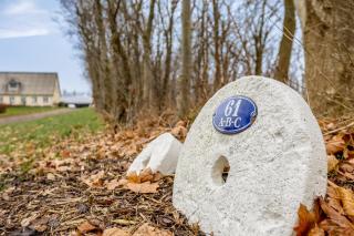 Naturskønt nær Ribe Vikingecenter, se og oplev den gamle by Ribe - 3