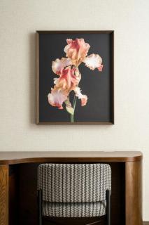 The Westin Nashville - 7