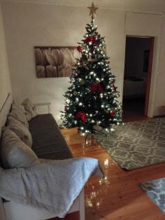 Kodinomainen majoitus Juoksenki, Napapiiri, Lappi - 3