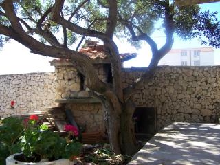 Studio apartman Maslina - 3