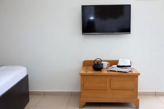 Triopetra Green Dream - 7