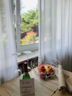 Gemütliche Ferienwohnung im Grünen - 5