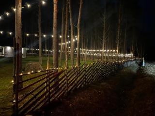 Reigi Holiday Home, Hiiumaa with Nordic HotTub & Sauna - 4