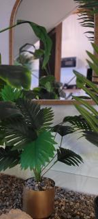 Nid d amour IndoneZen Balneo & table de massage - Saint-Nicolas-de-la-Grave - 7