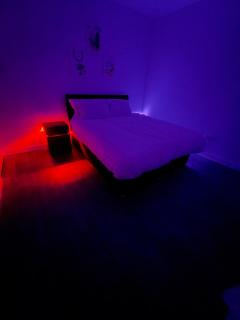 Modern 3 Bed room Home with Garden & Free Parking - 1