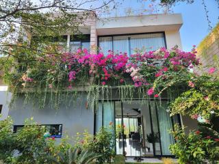 Miền an trú giữa rừng thông reo - 4