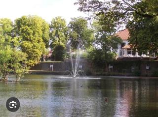 Waldnest Ferienwohnung - 9