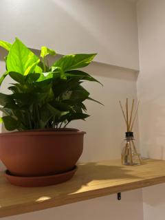 Apartamento Ponta Verde - 6