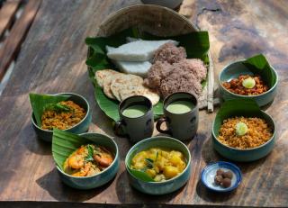 Wild Monkey Jungle Villa - 4 Bedroom Villa - 3