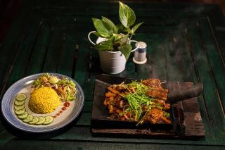 Wild Monkey Jungle Villa - 4 Bedroom Villa - 1